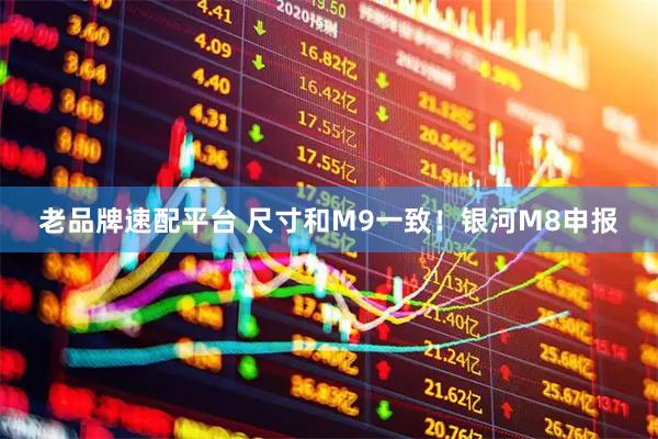 老品牌速配平台 尺寸和M9一致!银河M8申报